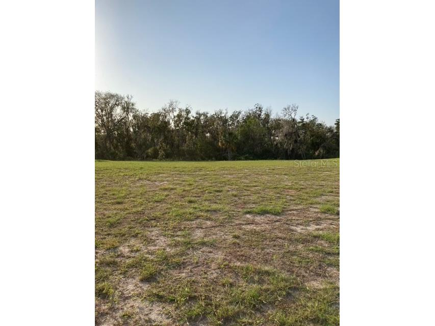 1509 Twin Rivers Trail Parrish FL 34219 A4554082 image1