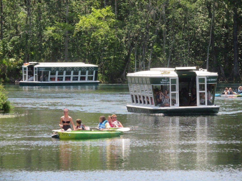 15092 SW 14th Avenue Road Ocala FL 34473 TB8438894 image40