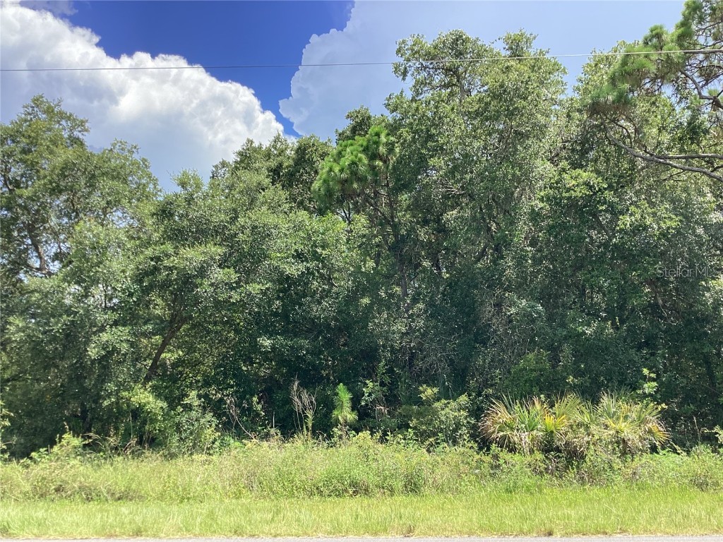 15095 & 15103 Gennaro Avenue Port Charlotte FL 33953 C7463957 image6