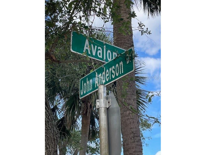 151 Avalon Drive Ormond Beach FL 32176 FC305743 image4