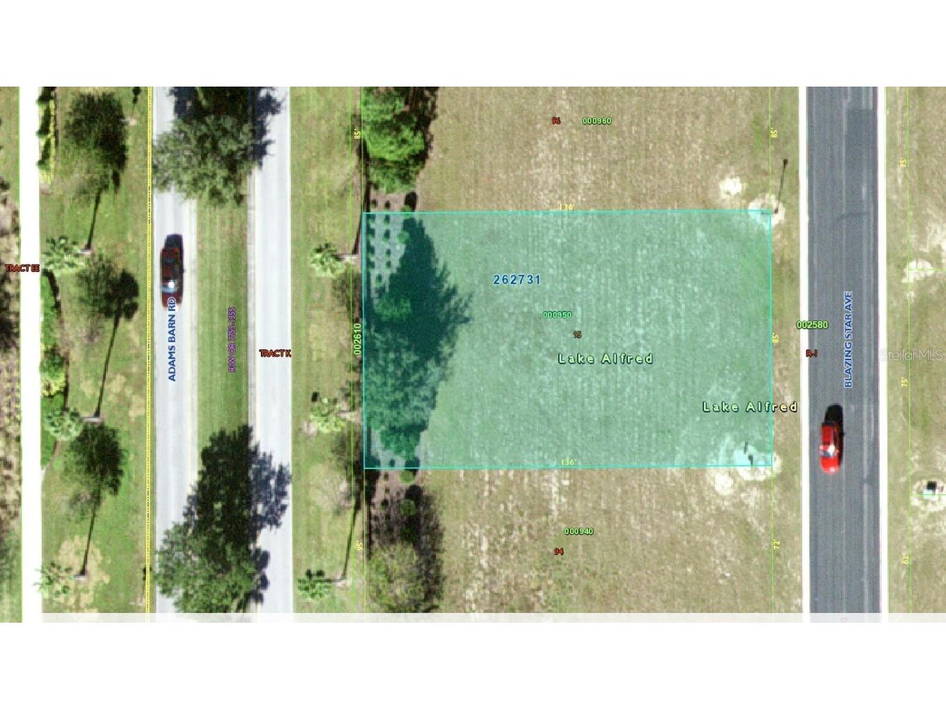 151 Blazing Star Avenue Lake Alfred FL 33850 A4624625 image1