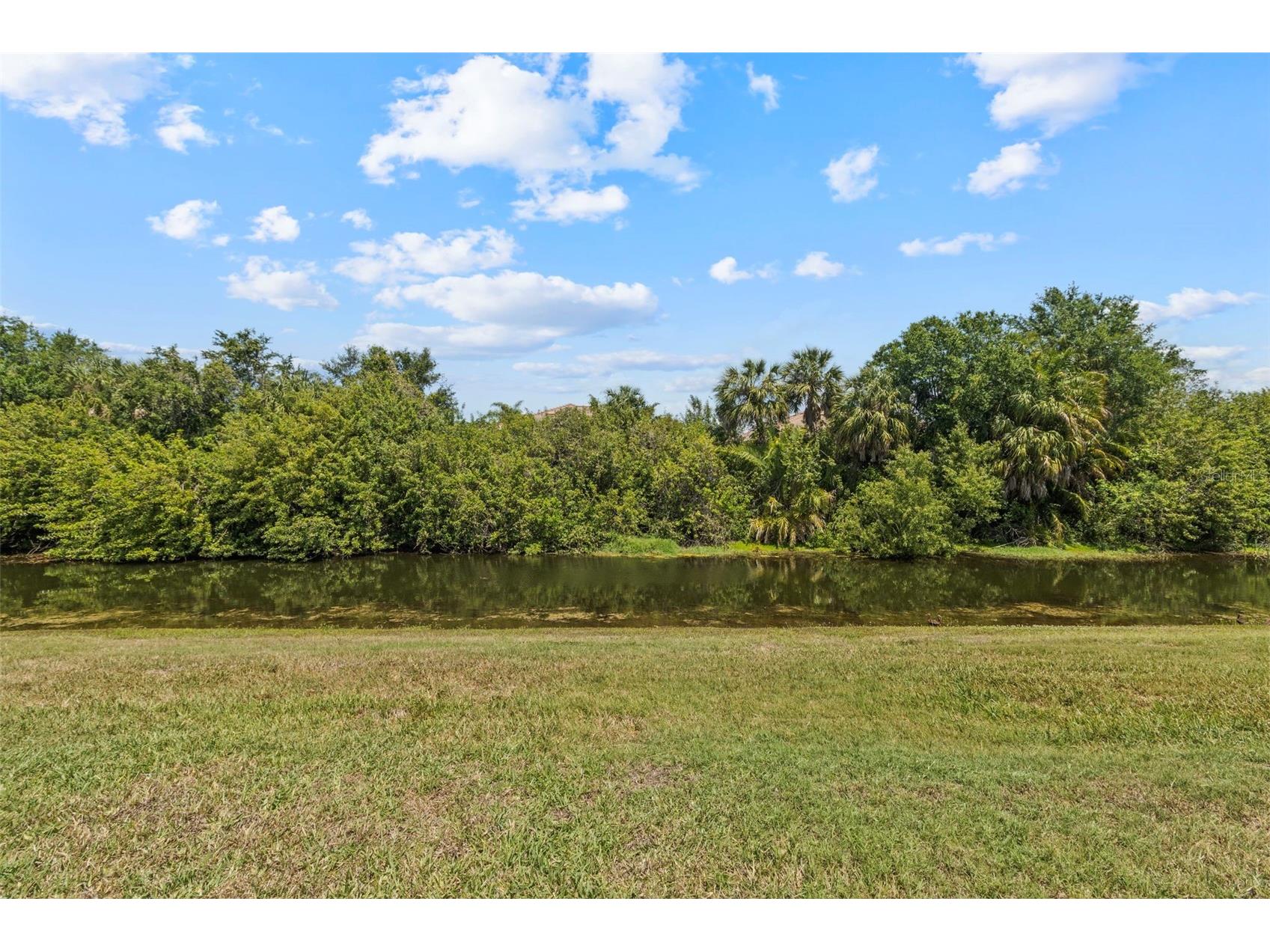 151 Bright Ibis Avenue Apollo Beach FL 33572 A4691448 image20