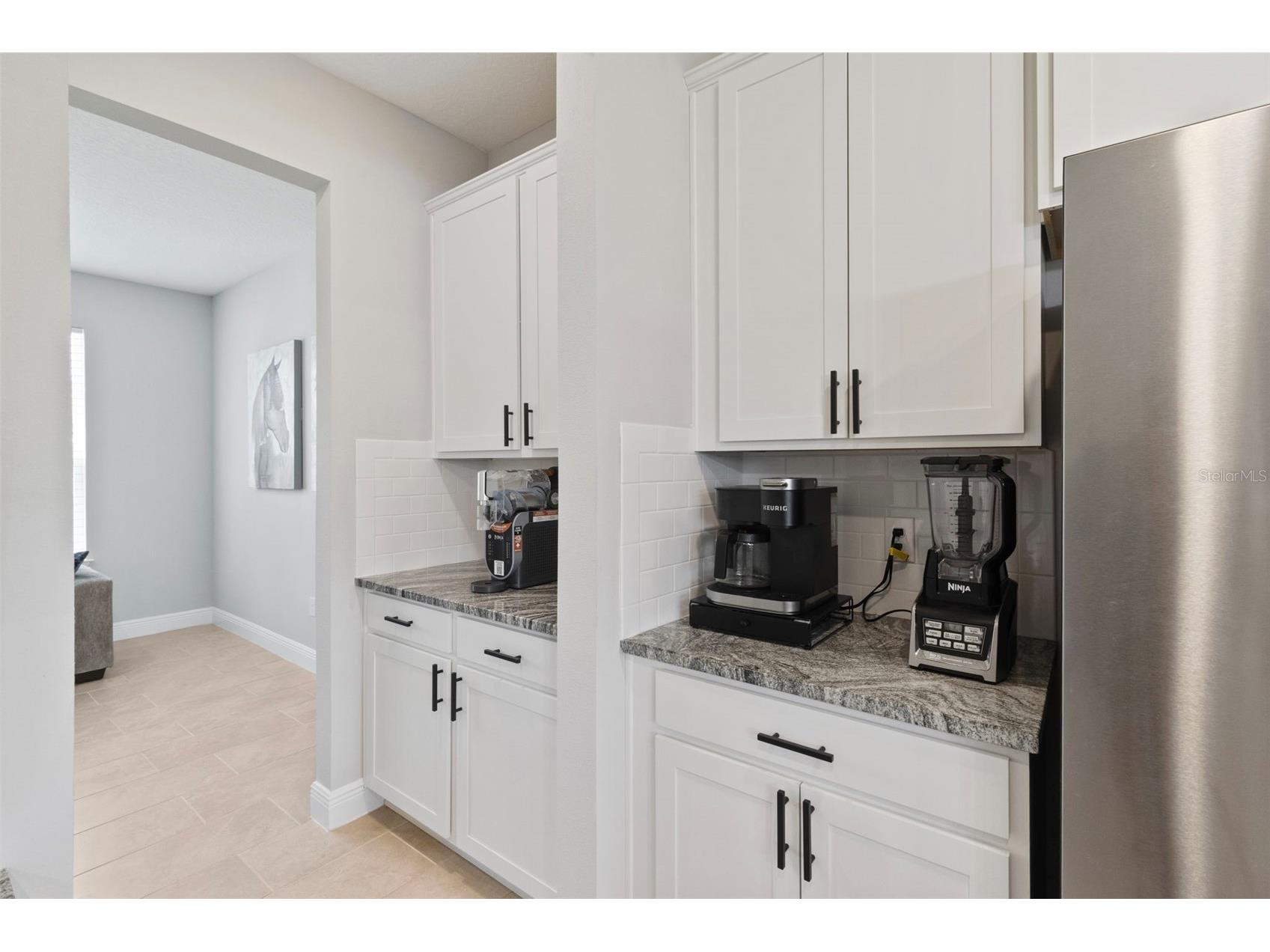 151 Bright Ibis Avenue Apollo Beach FL 33572 A4691448 image5