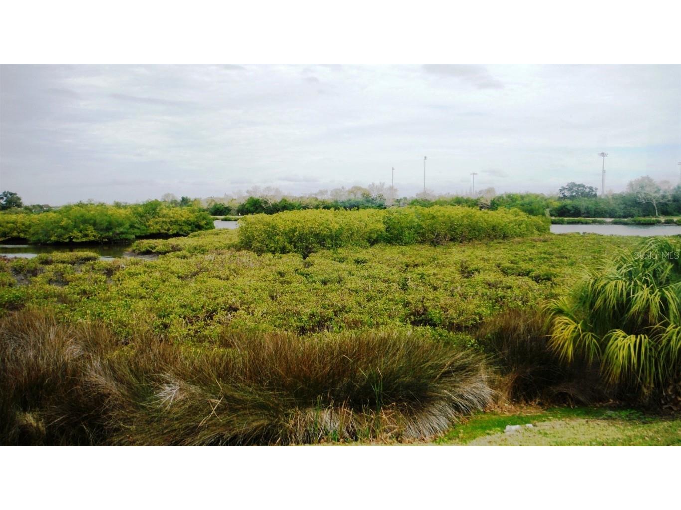 151 Clubview Drive #128 Safety Harbor FL 34695 U8230899 image1