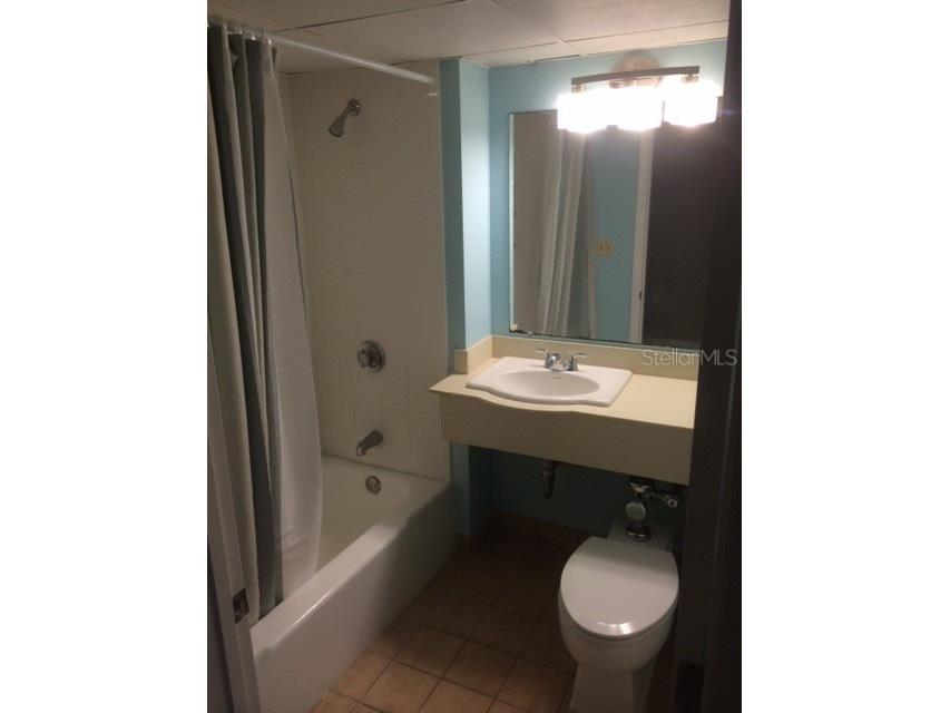 151 E Washington Street #209 Orlando FL 32801 O6359009 image19