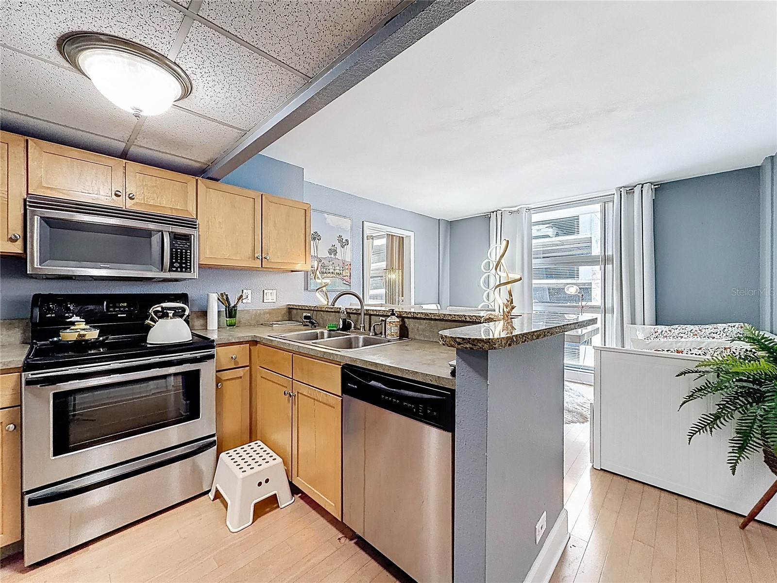 151 E Washington Street #611 Orlando FL 32801 O6395456 image9
