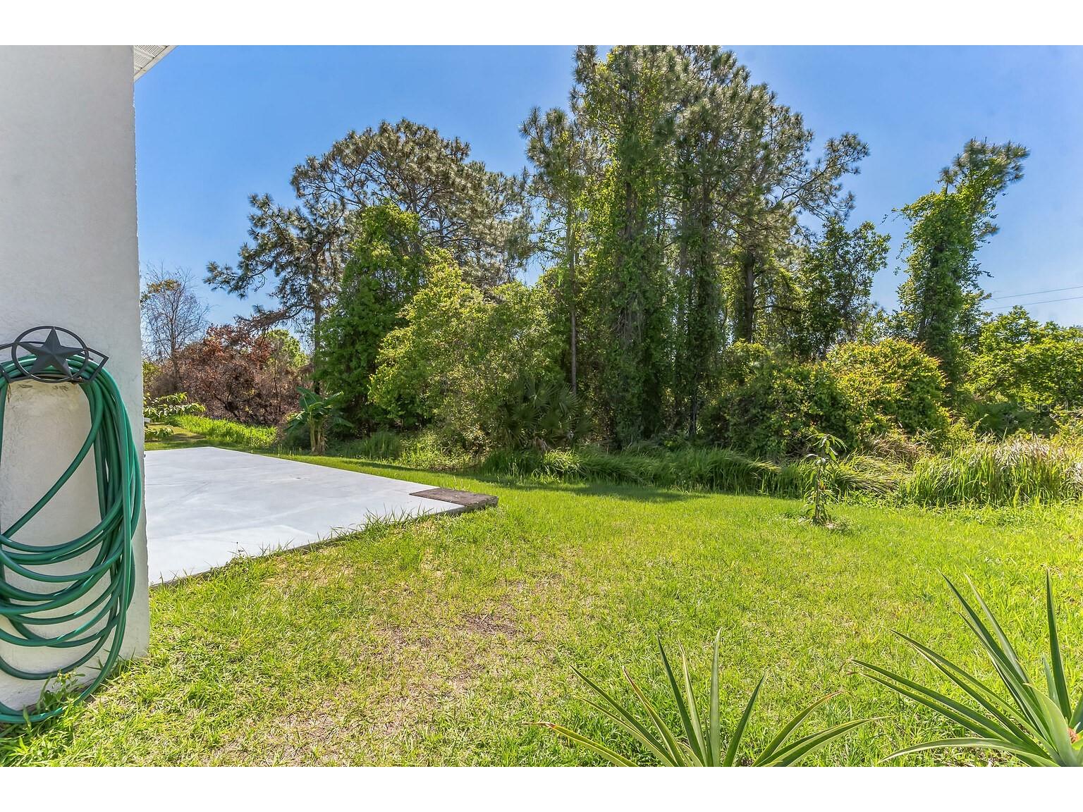 151 Flatfish Court Kissimmee FL 34759 S5146890 image20