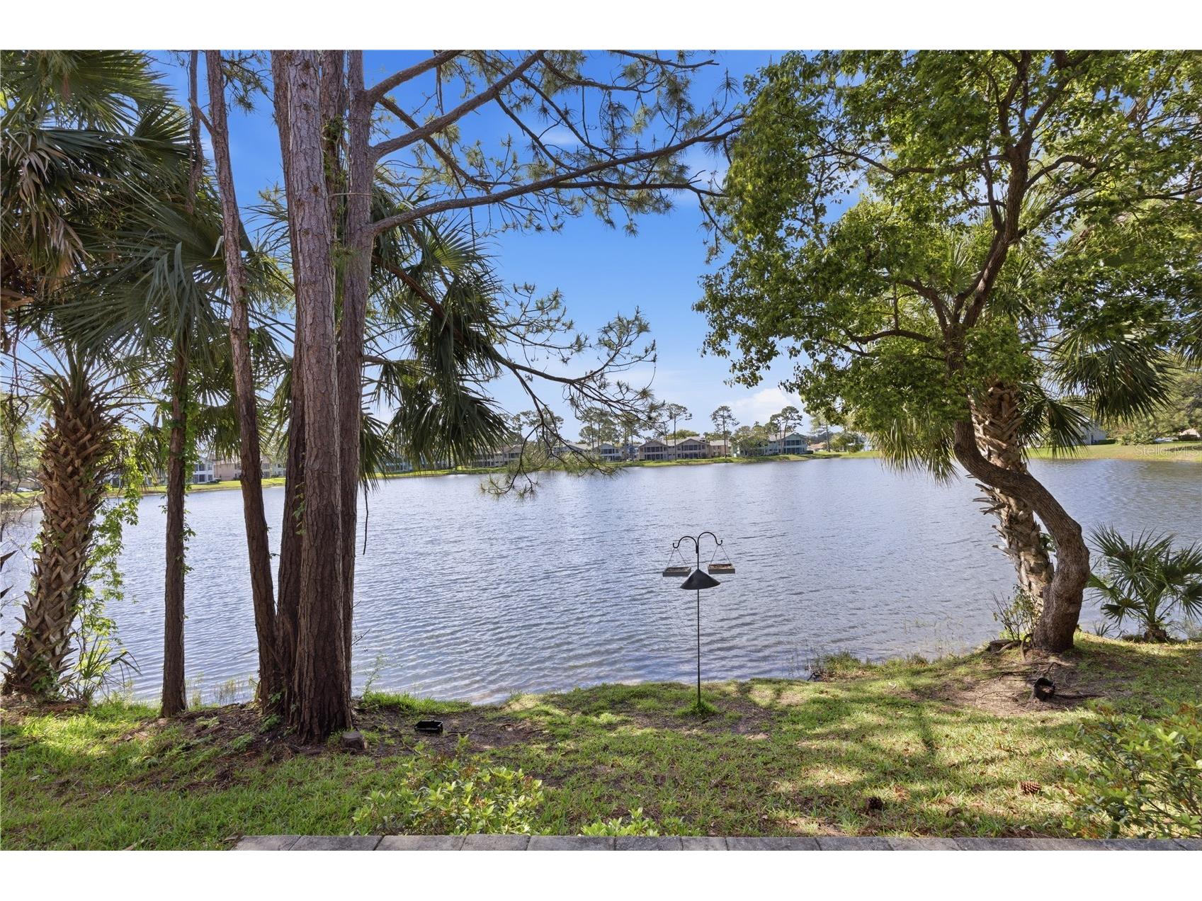 151 Grey Widgeon Court Daytona Beach FL 32119 V4948241 image50