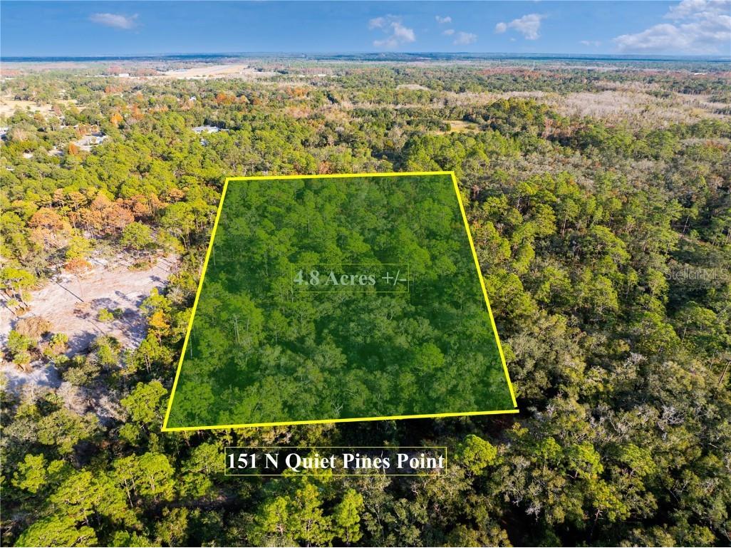 151 N Quiet Pines Point Crystal River FL 34429 TB8328284 image1
