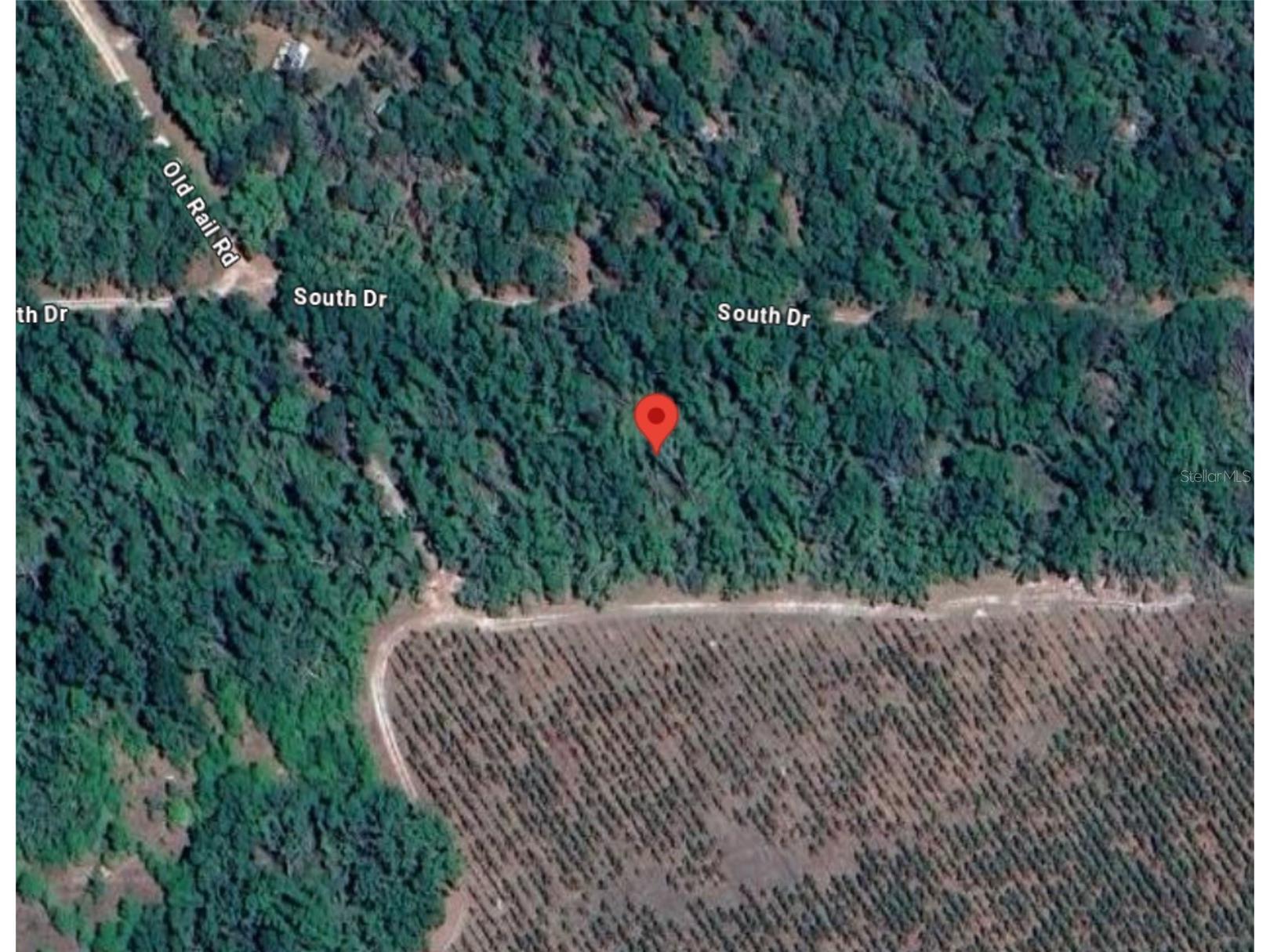 151 Nw East South Dr Mayo FL 32066 O6357603 image1