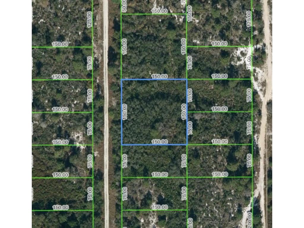 151 Patton Avenue Lake Placid FL 33852 L4930706 image1
