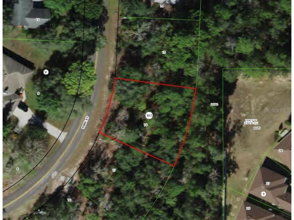 151 Pine Street Homosassa FL 34446 TB8454070 image1