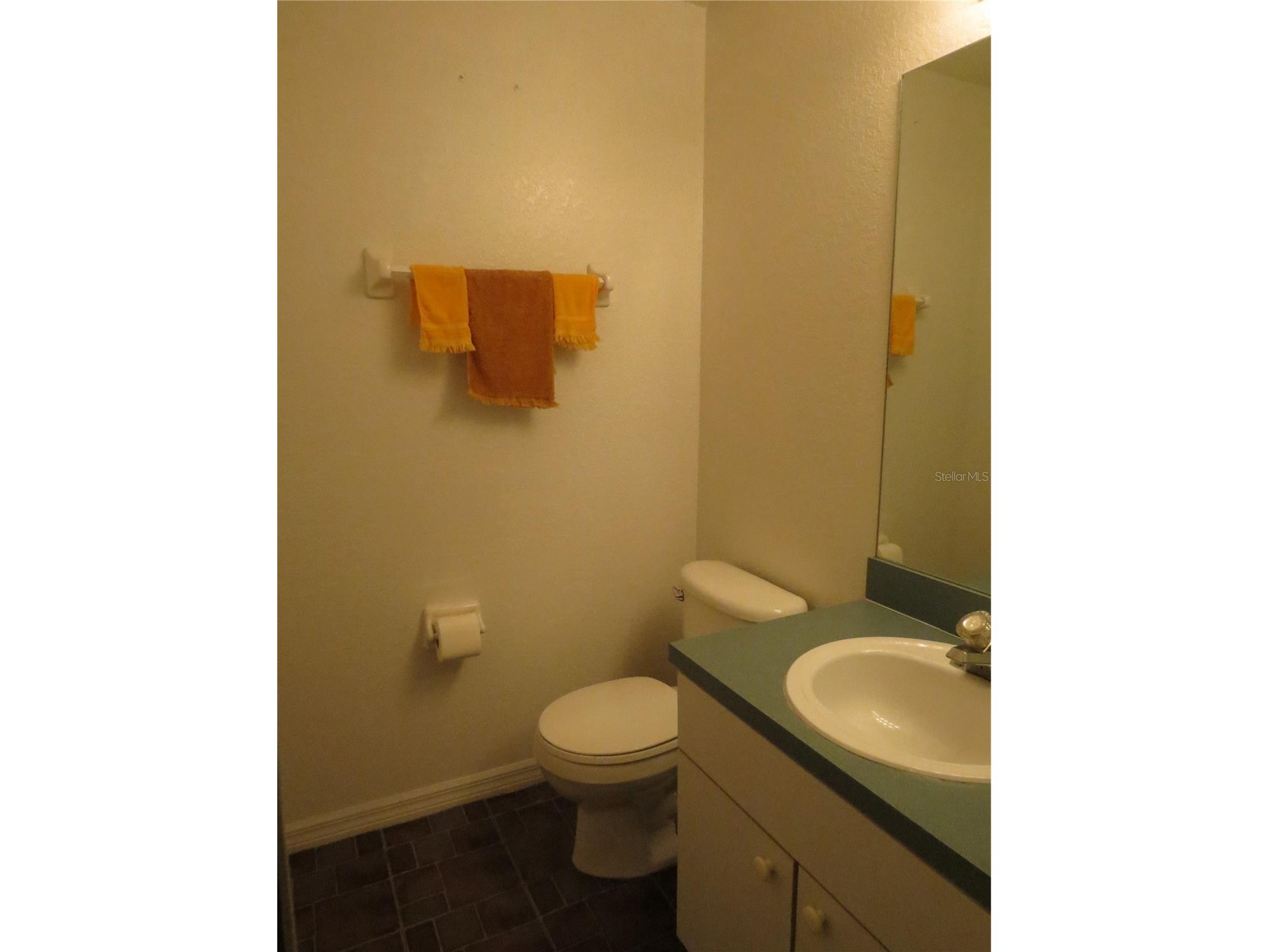 151 Pinewood Drive Davenport FL 33896 O6386731 image16