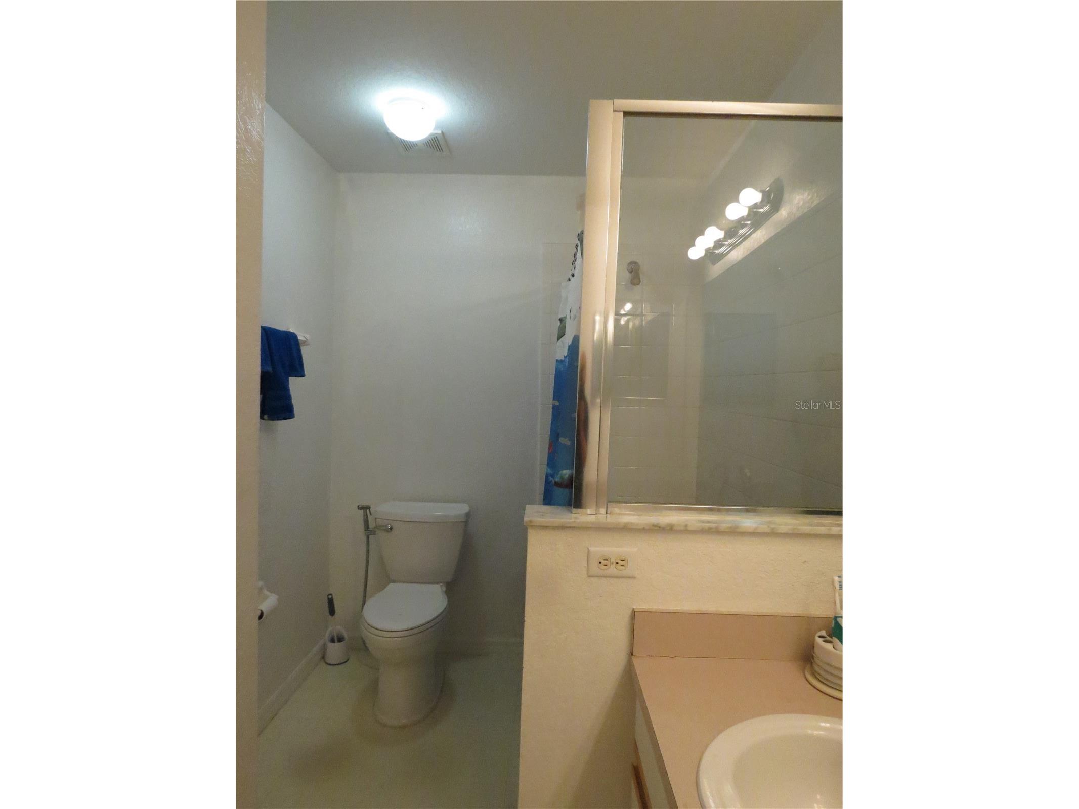 151 Pinewood Drive Davenport FL 33896 O6386731 image32
