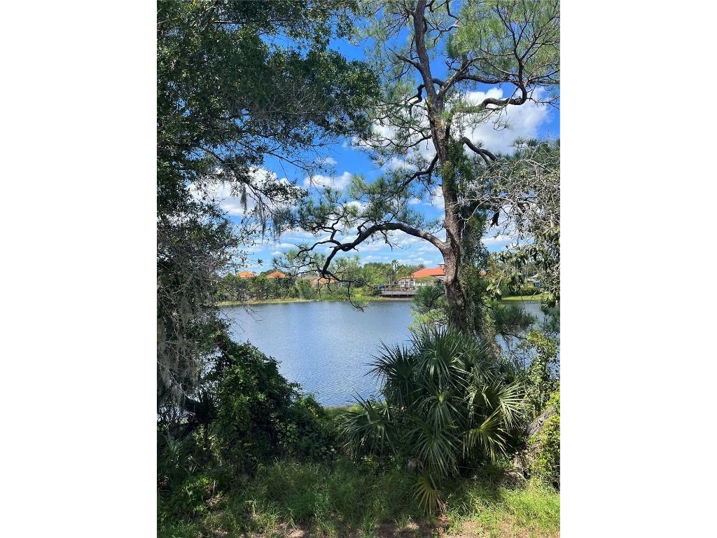 151 Rubino Drive Davenport FL 33837 O6137690 image1