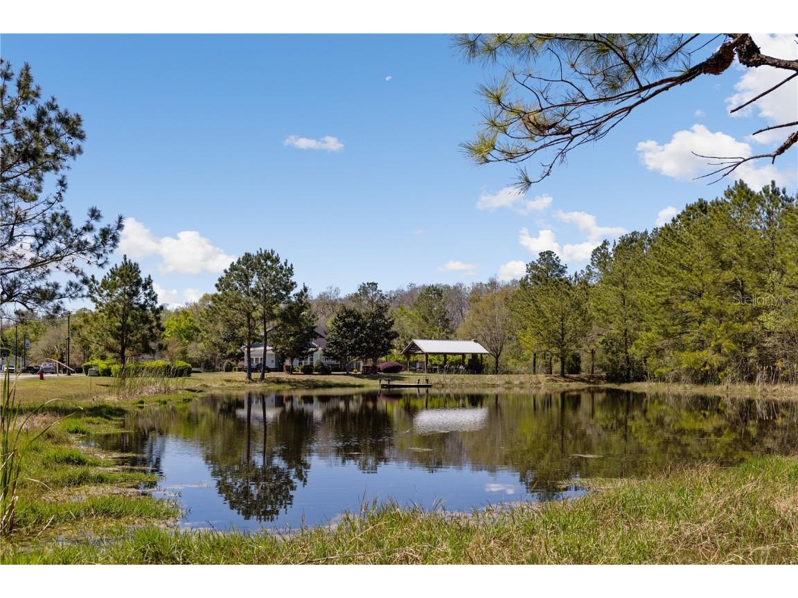 151 SW Silver Palm Drive Lake City FL 32024 GC526340 image35