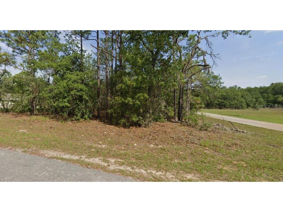 151 W Brimson Place Citrus Springs FL 34434 O6174125 image1