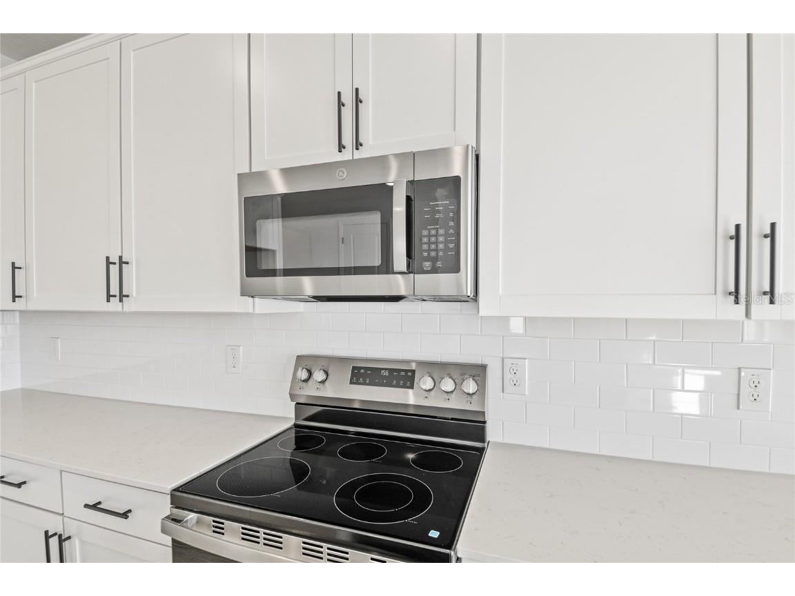 151 Waterstone Loop Tavares FL 32778 S5132755 image7