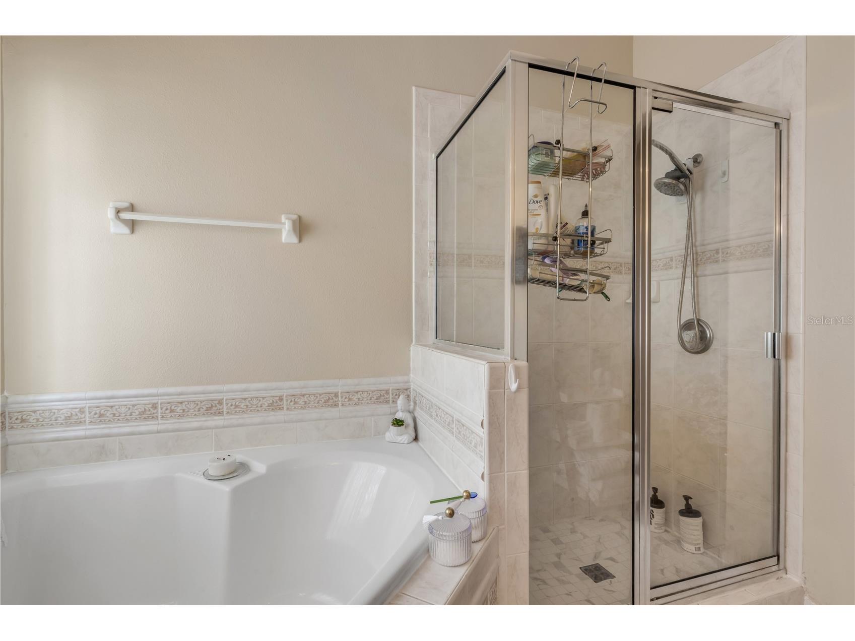 1510 Brayton Circle Deltona FL 32725 O6420938 image18