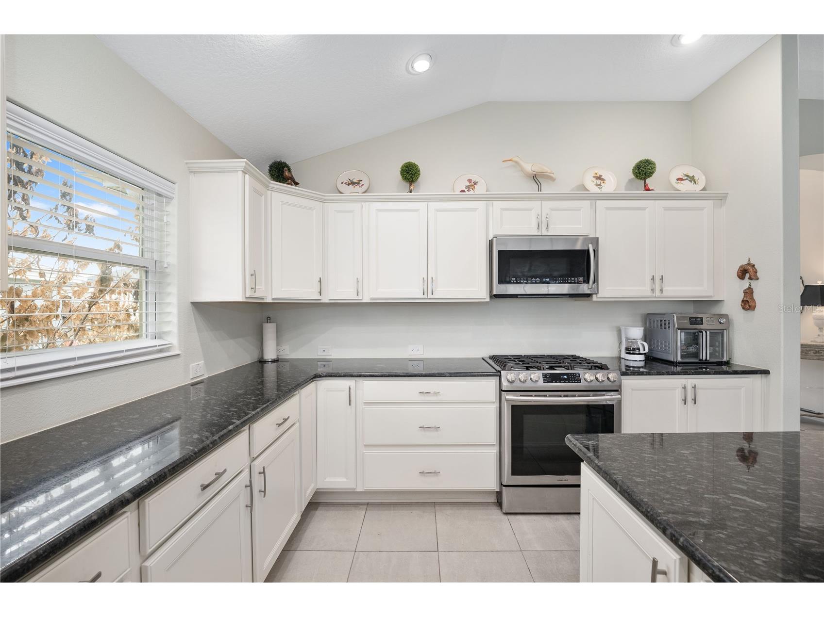 1510 Knudson Run The Villages FL 32163 G5108227 image29