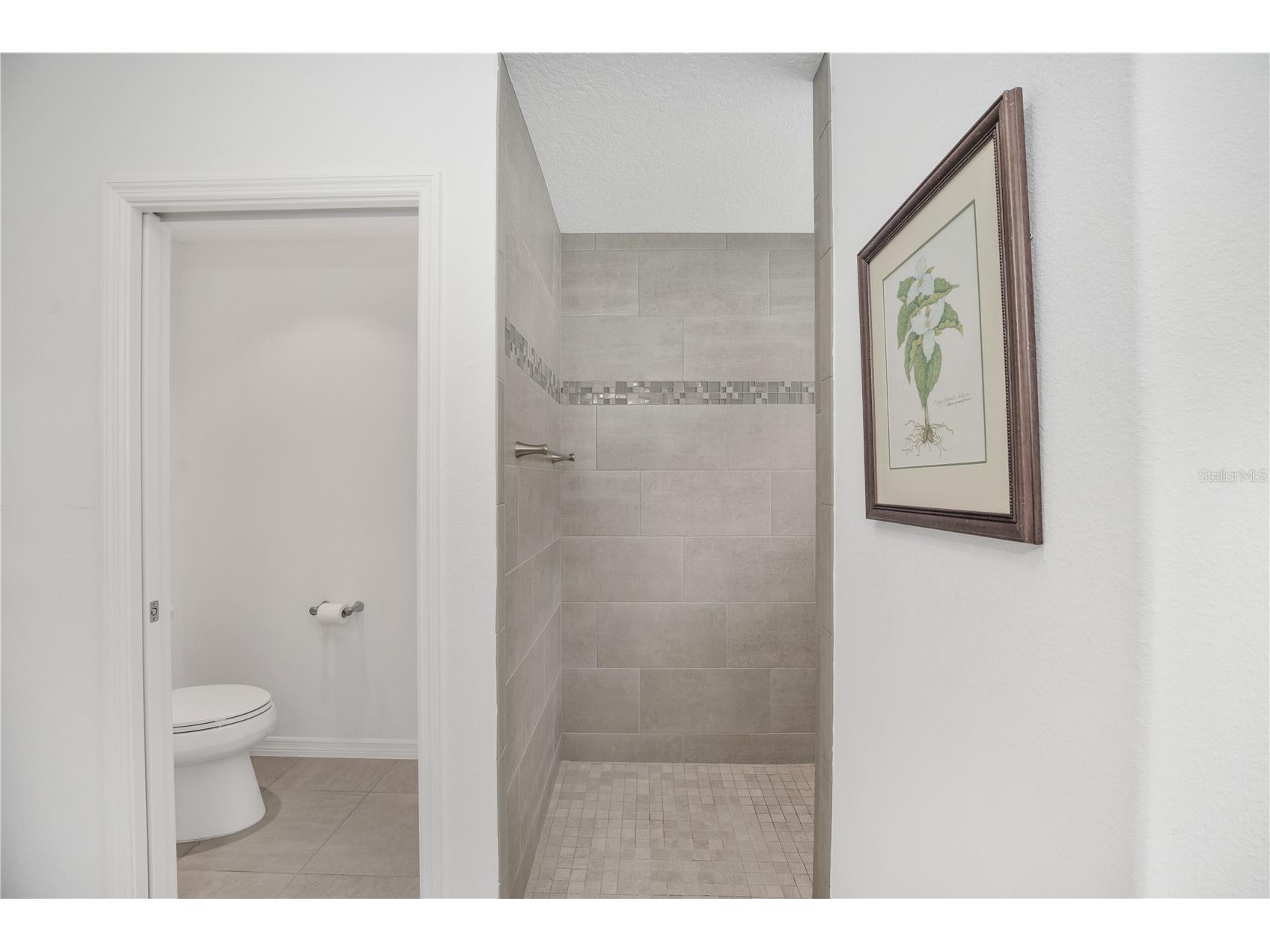 1510 Knudson Run The Villages FL 32163 G5108227 image38