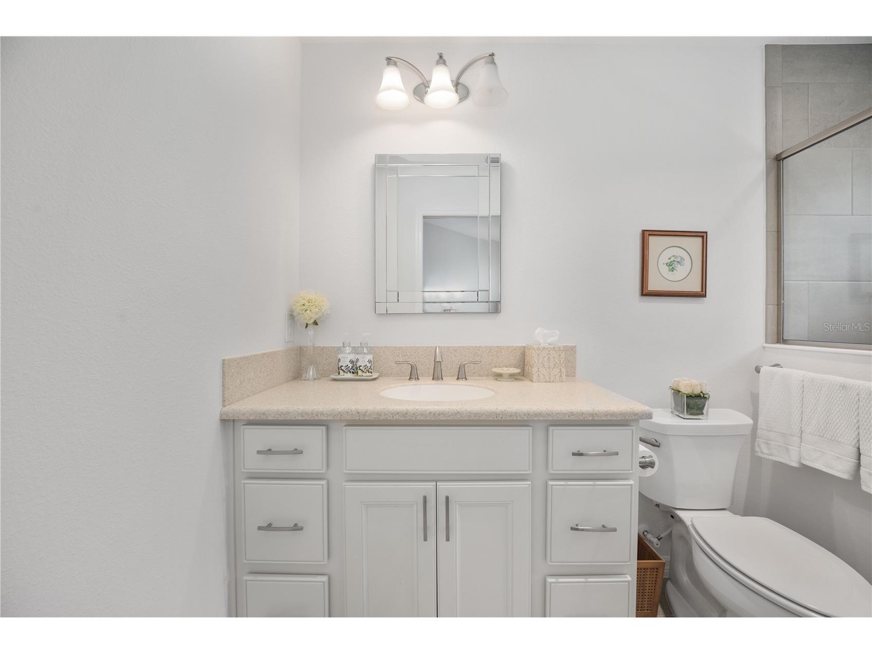 1510 Knudson Run The Villages FL 32163 G5108227 image45