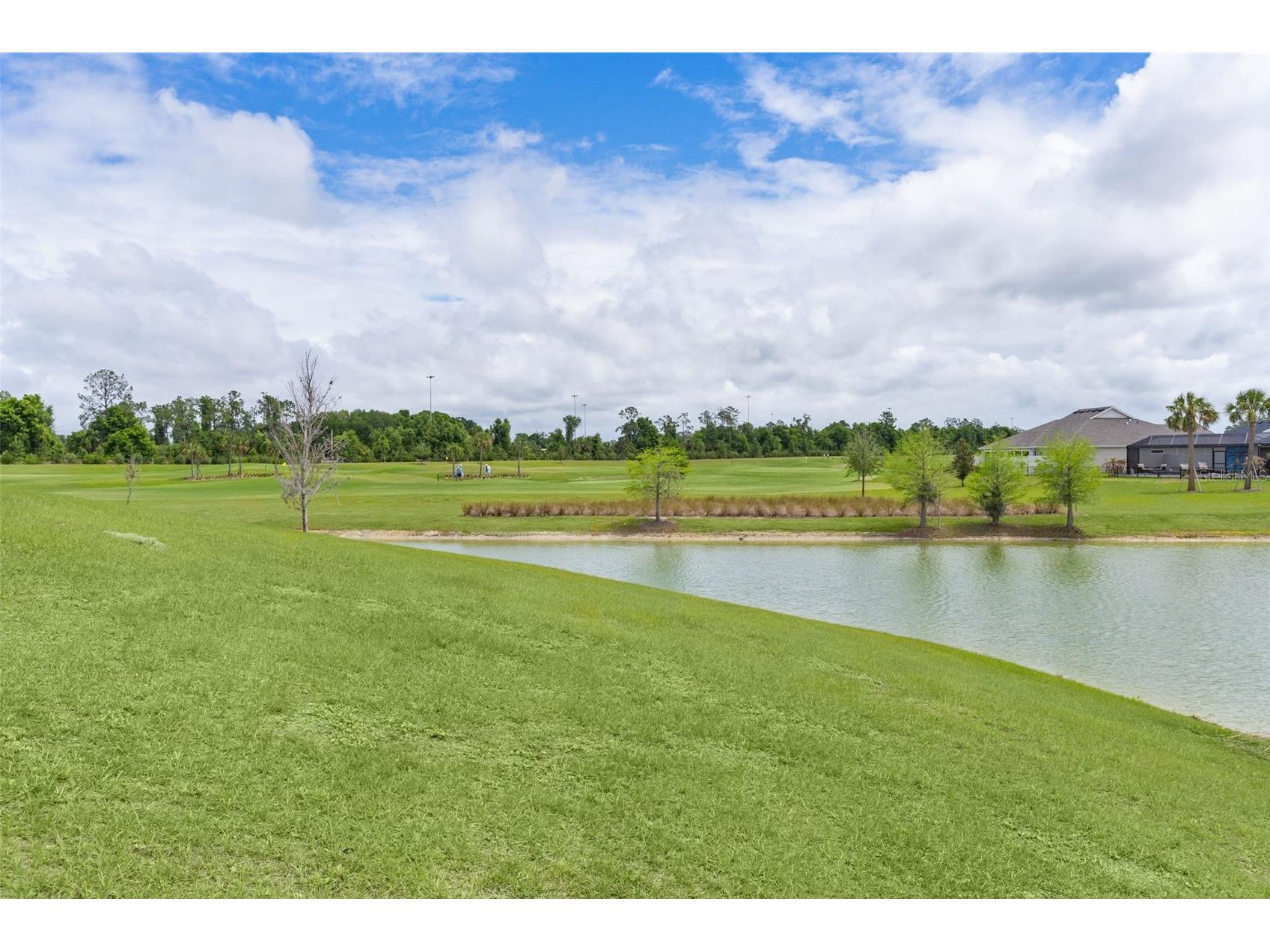 1510 Knudson Run The Villages FL 32163 G5108227 image66