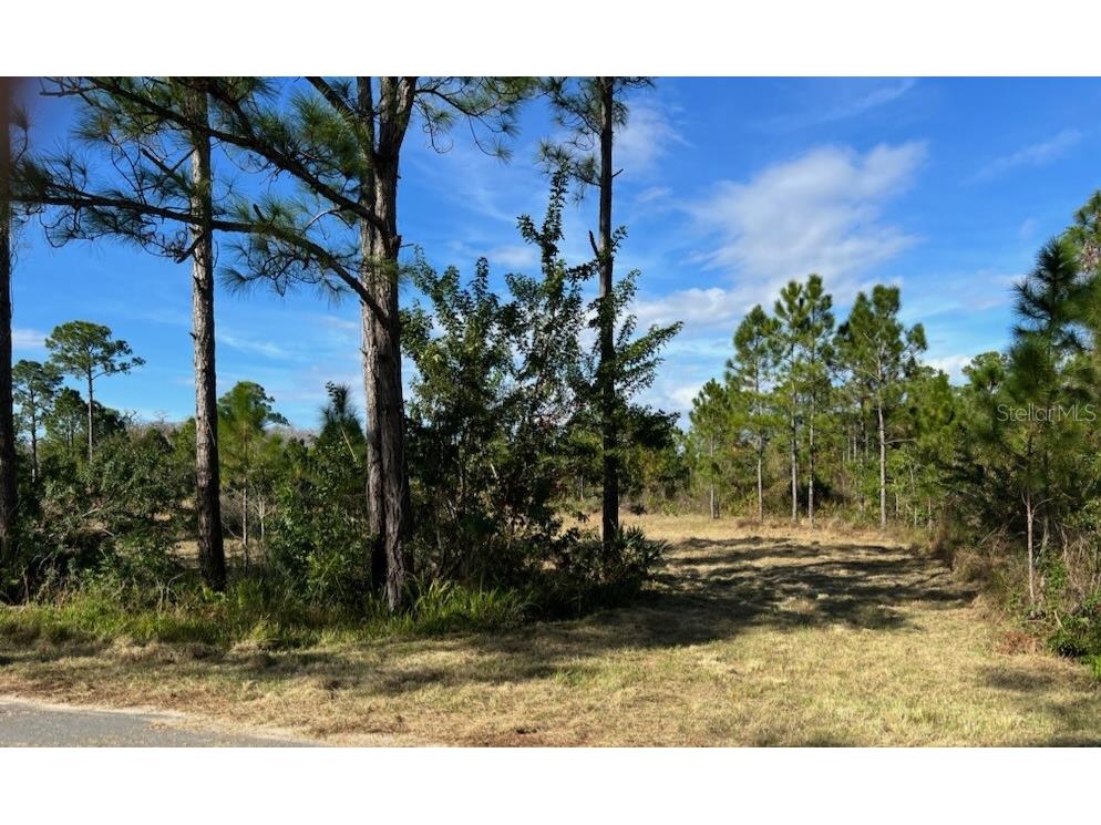 1510 Lake Harney Woods Boulevard Mims FL 32754 O6165592 image1