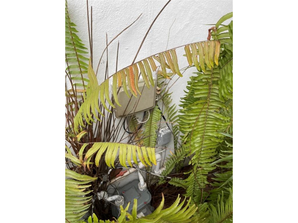 1510 NW 70th Street Miami FL 33147 TB8444744 image43