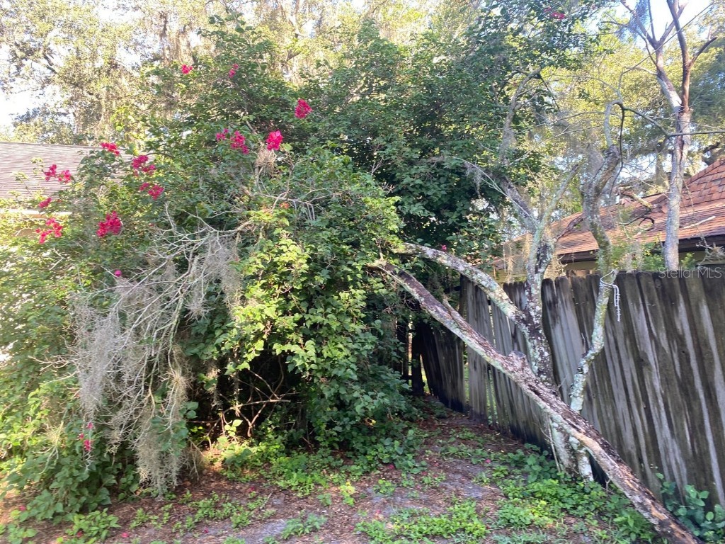 1510 Pelican Street Longwood FL 32750 O6331053 image56