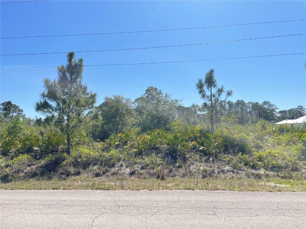 1510 Pine Avenue Lehigh Acres FL 33972 O6105622 image1