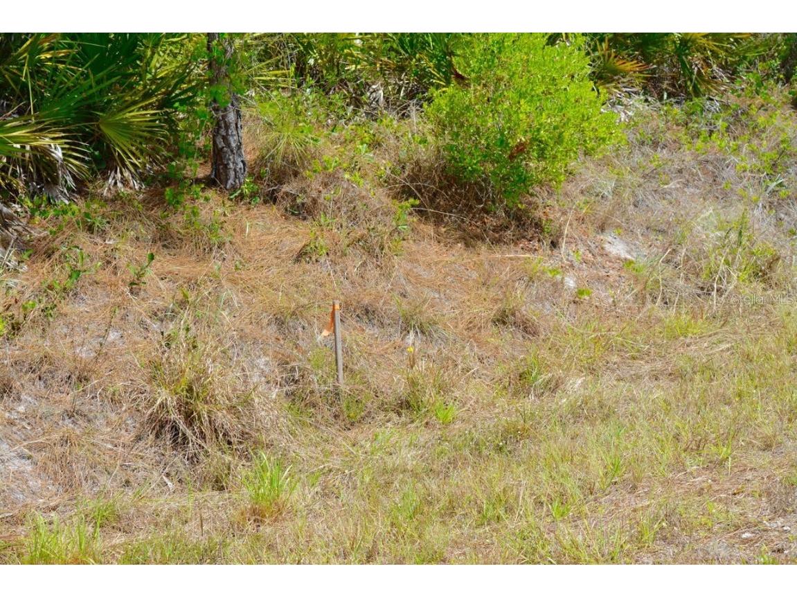 1510 Pine Avenue Lehigh Acres FL 33972 G5095246 image8