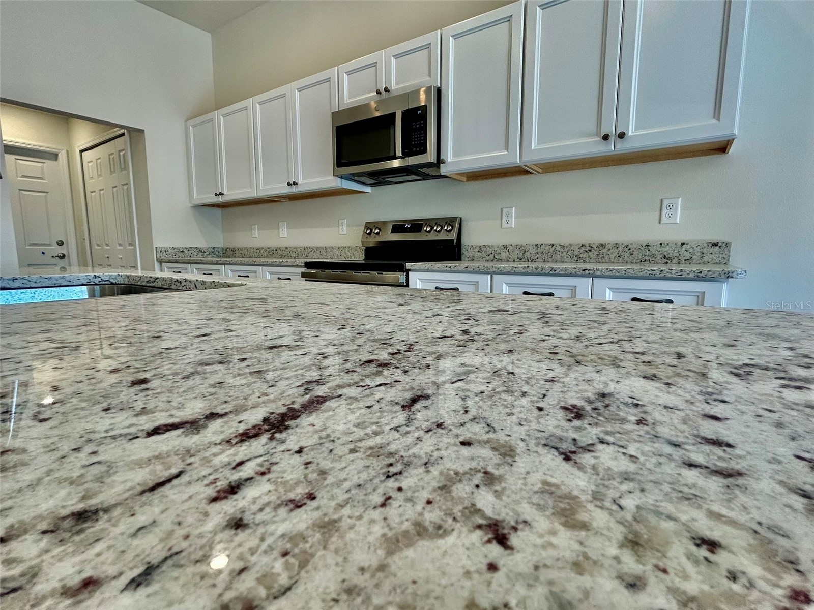 1510 W Gainsboro Lane Citrus Springs FL 34434 OM718130 image14