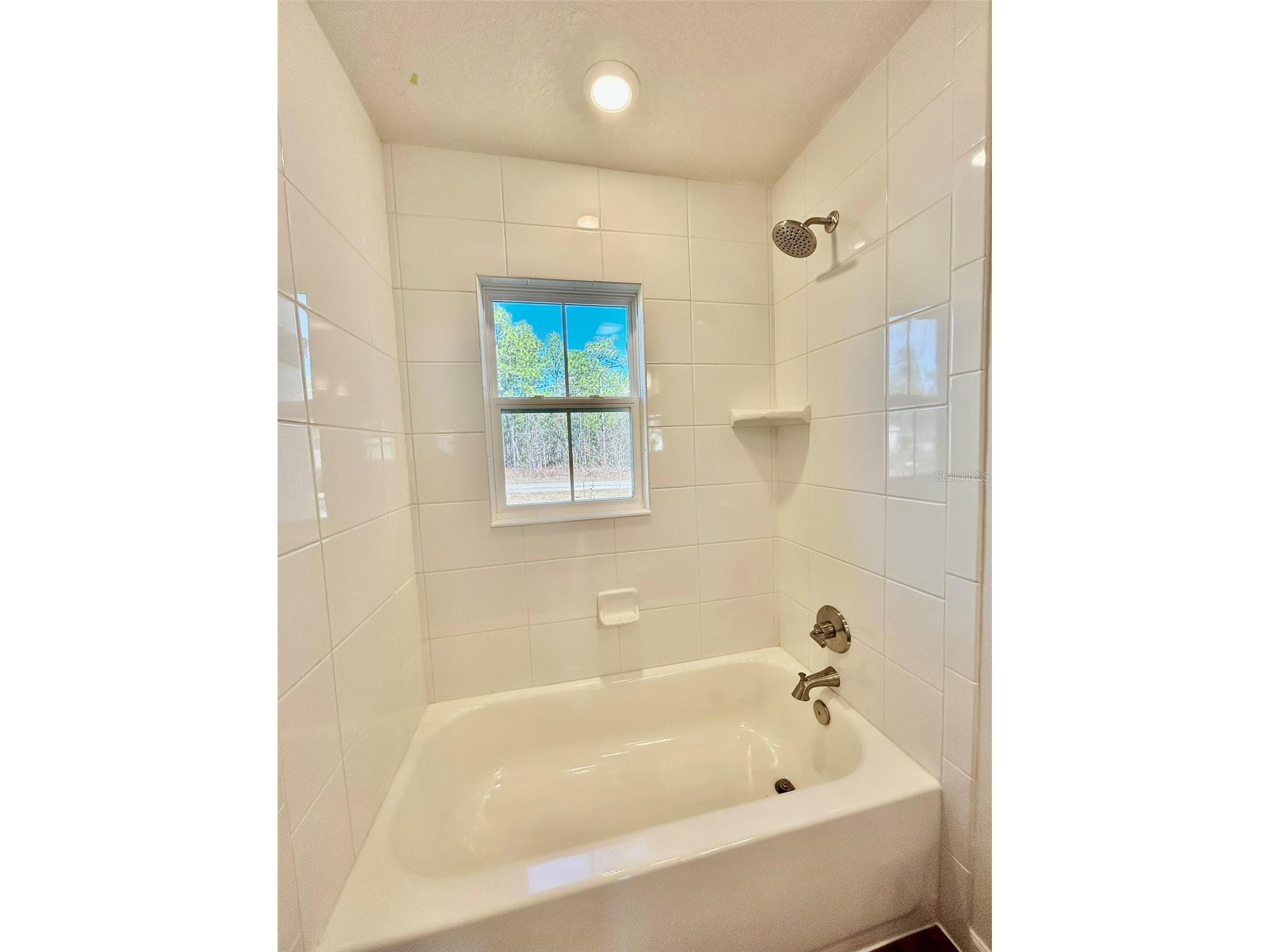 1510 W Gainsboro Lane Citrus Springs FL 34434 OM718130 image27