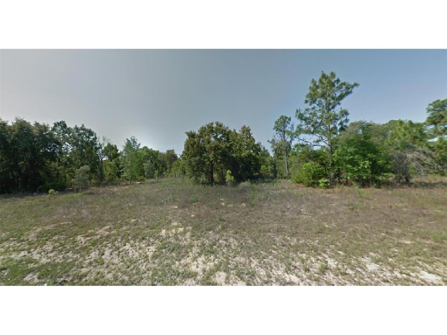 1510 W Skyline Drive Citrus Springs FL 34434 O6191647 image1