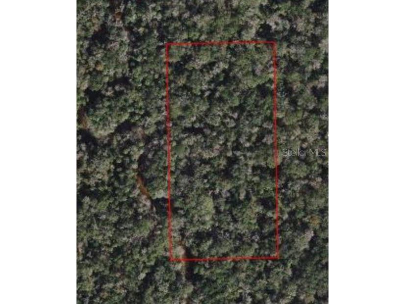 1510 Welcome Road Lithia FL 33547 J971633 image1