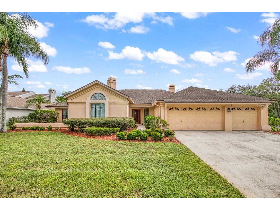 15101 Elmcrest Street Odessa FL 33556 U8217783 image1