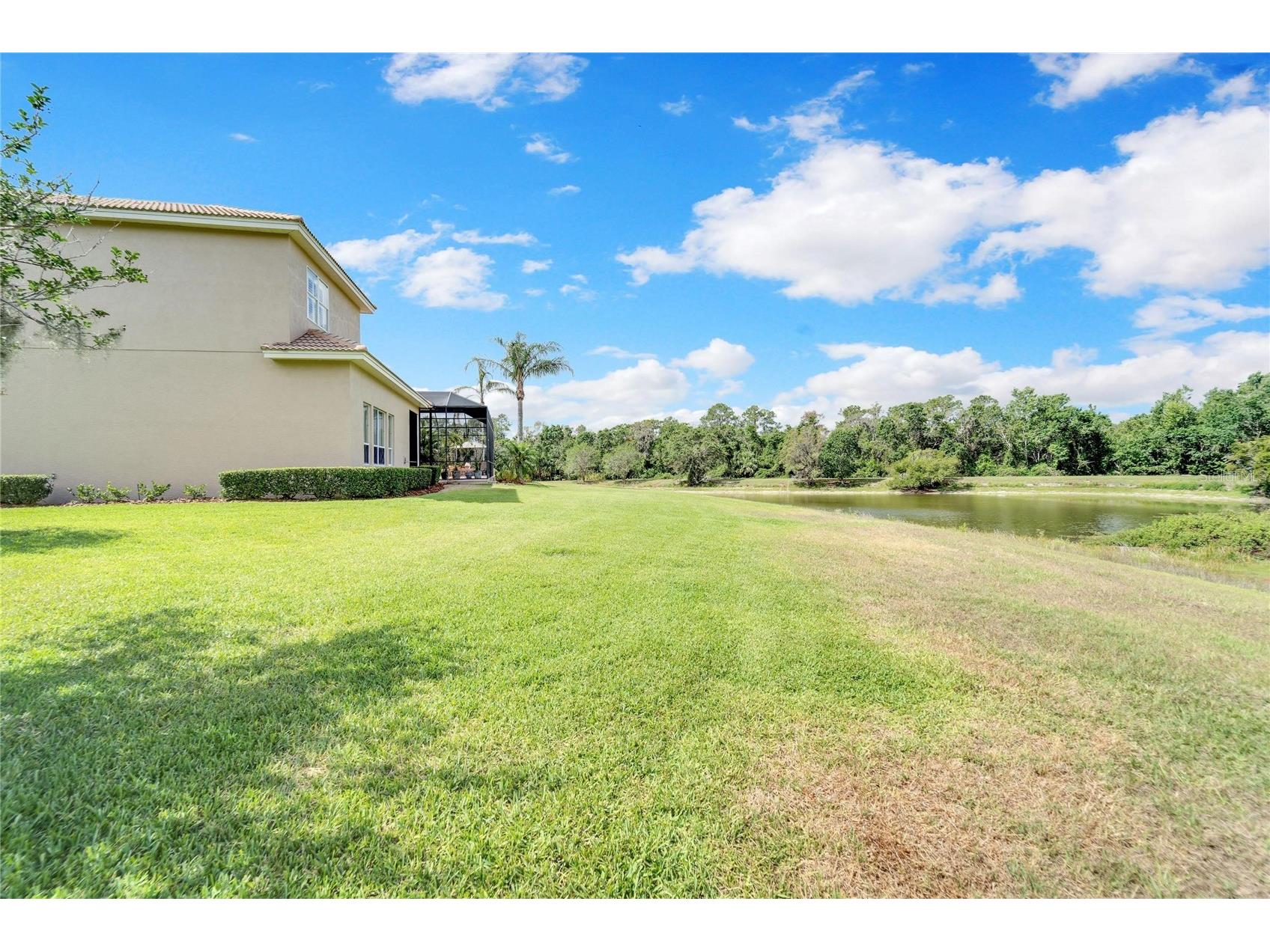 15101 Kestrelglen Way Lithia FL 33547 TB8474597 image4