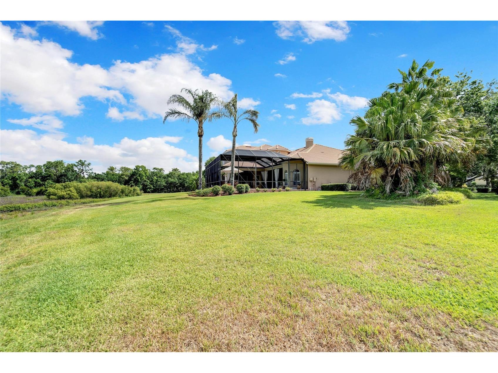 15101 Kestrelglen Way Lithia FL 33547 TB8474597 image5
