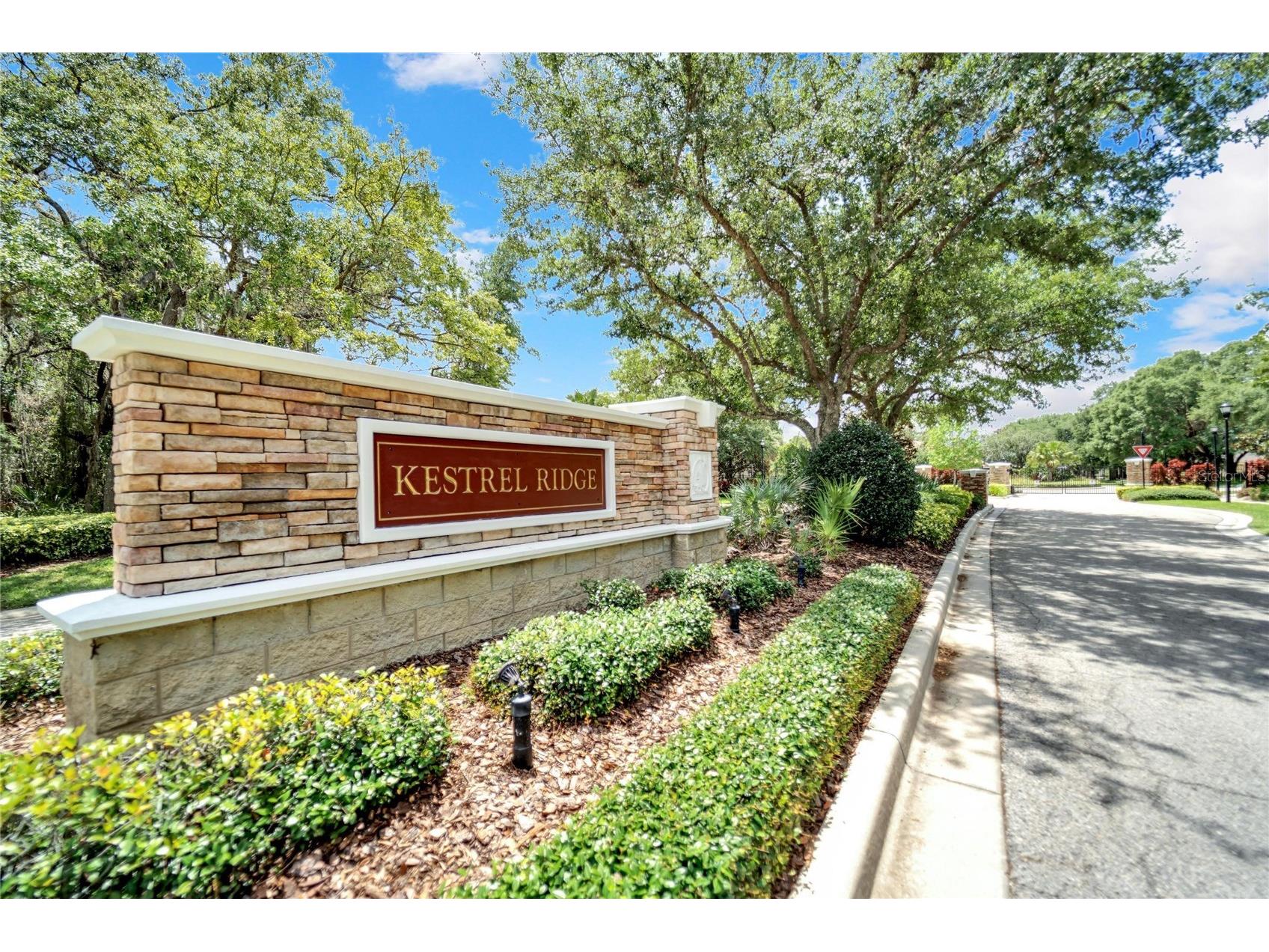 15101 Kestrelglen Way Lithia FL 33547 TB8474597 image65