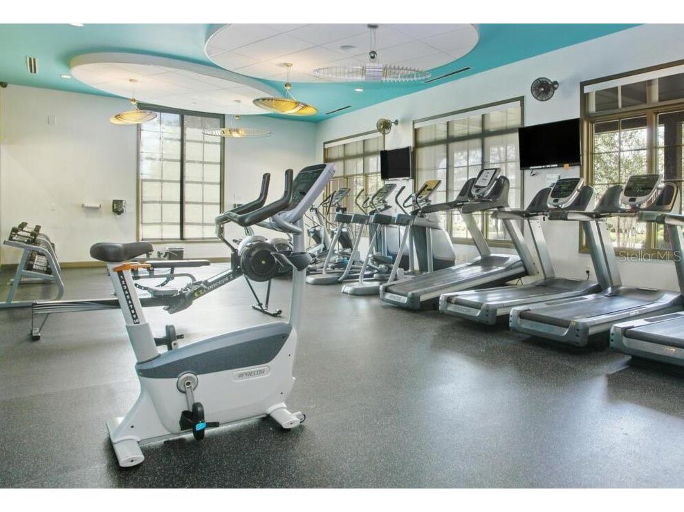 15101 Kestrelglen Way Lithia FL 33547 TB8474597 image72