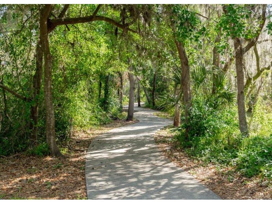 15101 Kestrelglen Way Lithia FL 33547 TB8474597 image74