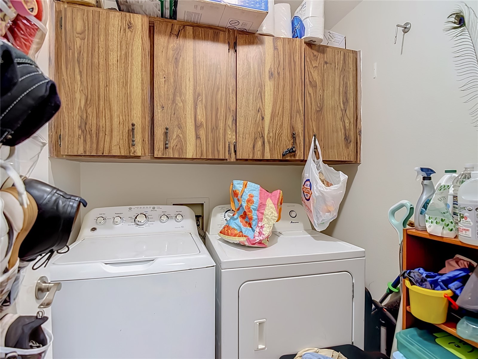 15101 Morning Dr Lutz FL 33559 TB8522916 image33