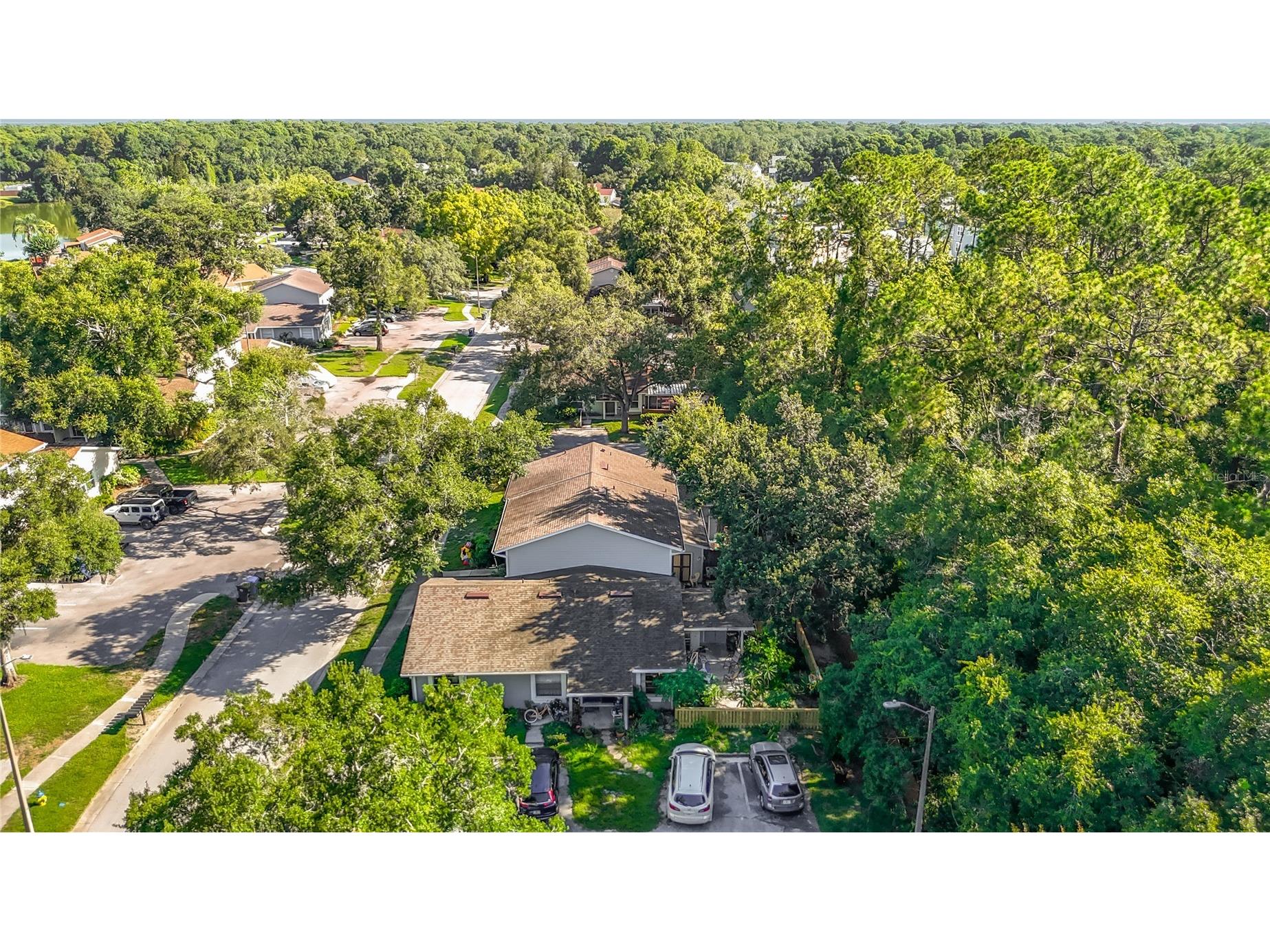15101 Morning Dr Lutz FL 33559 TB8522916 image38