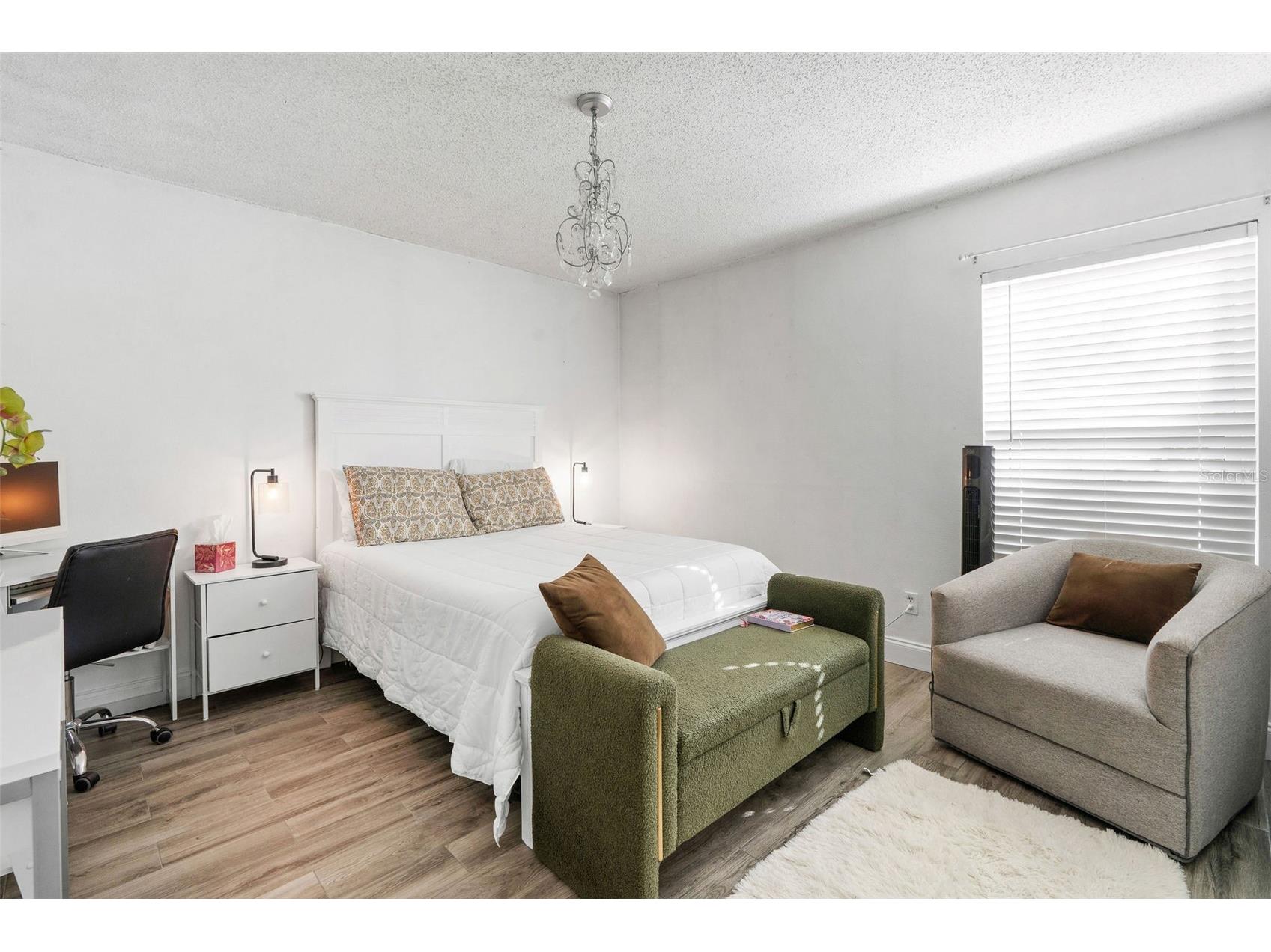 15101 Redvale Drive Tampa FL 33625 TB8496725 image21