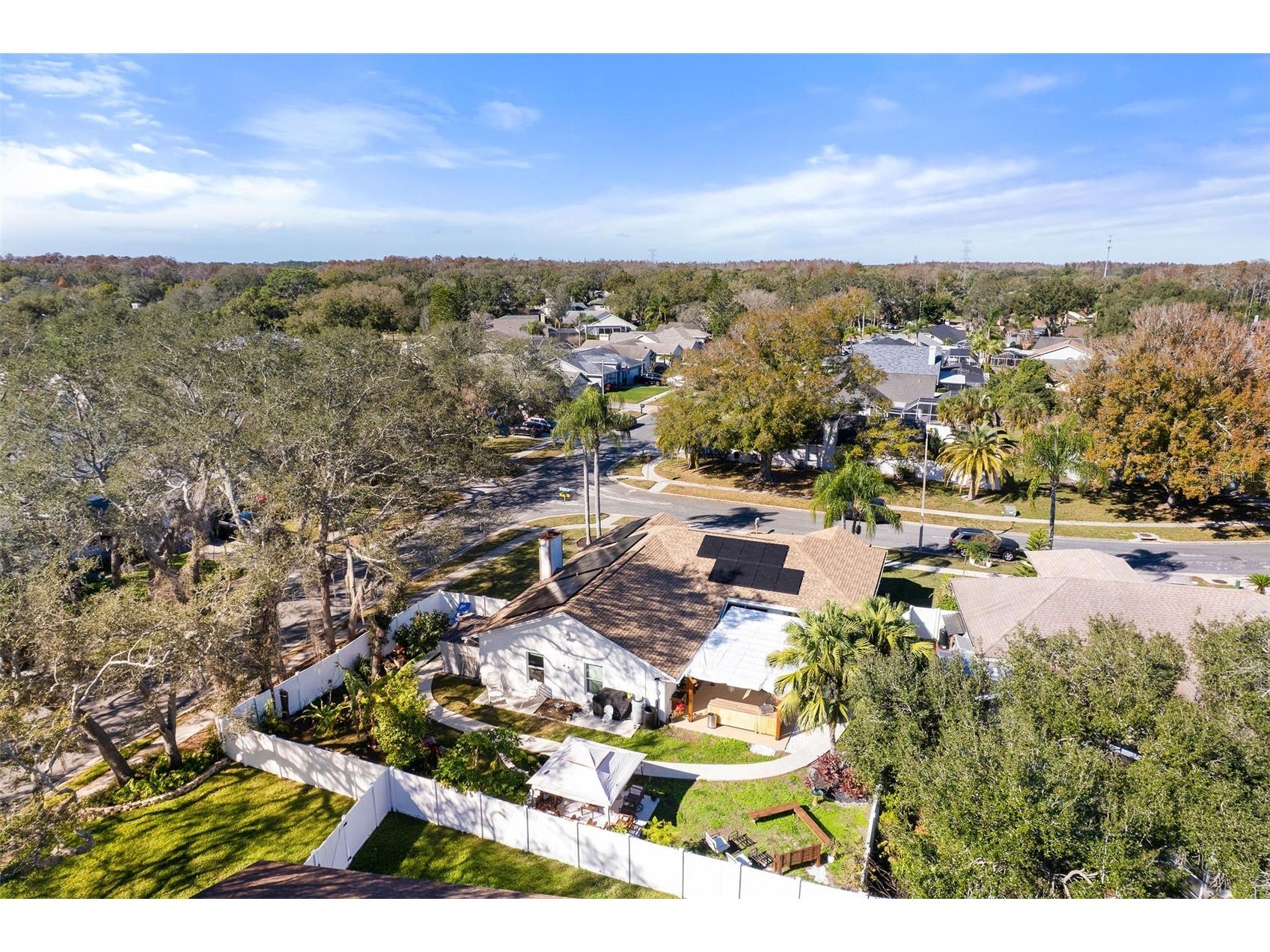 15101 Redvale Drive Tampa FL 33625 TB8496725 image25