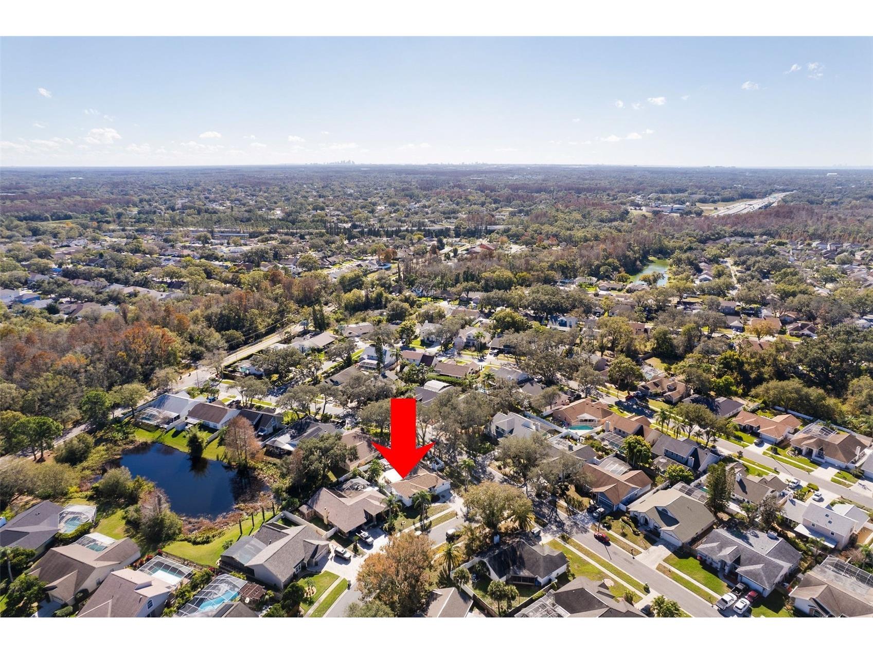 15101 Redvale Drive Tampa FL 33625 TB8496725 image27