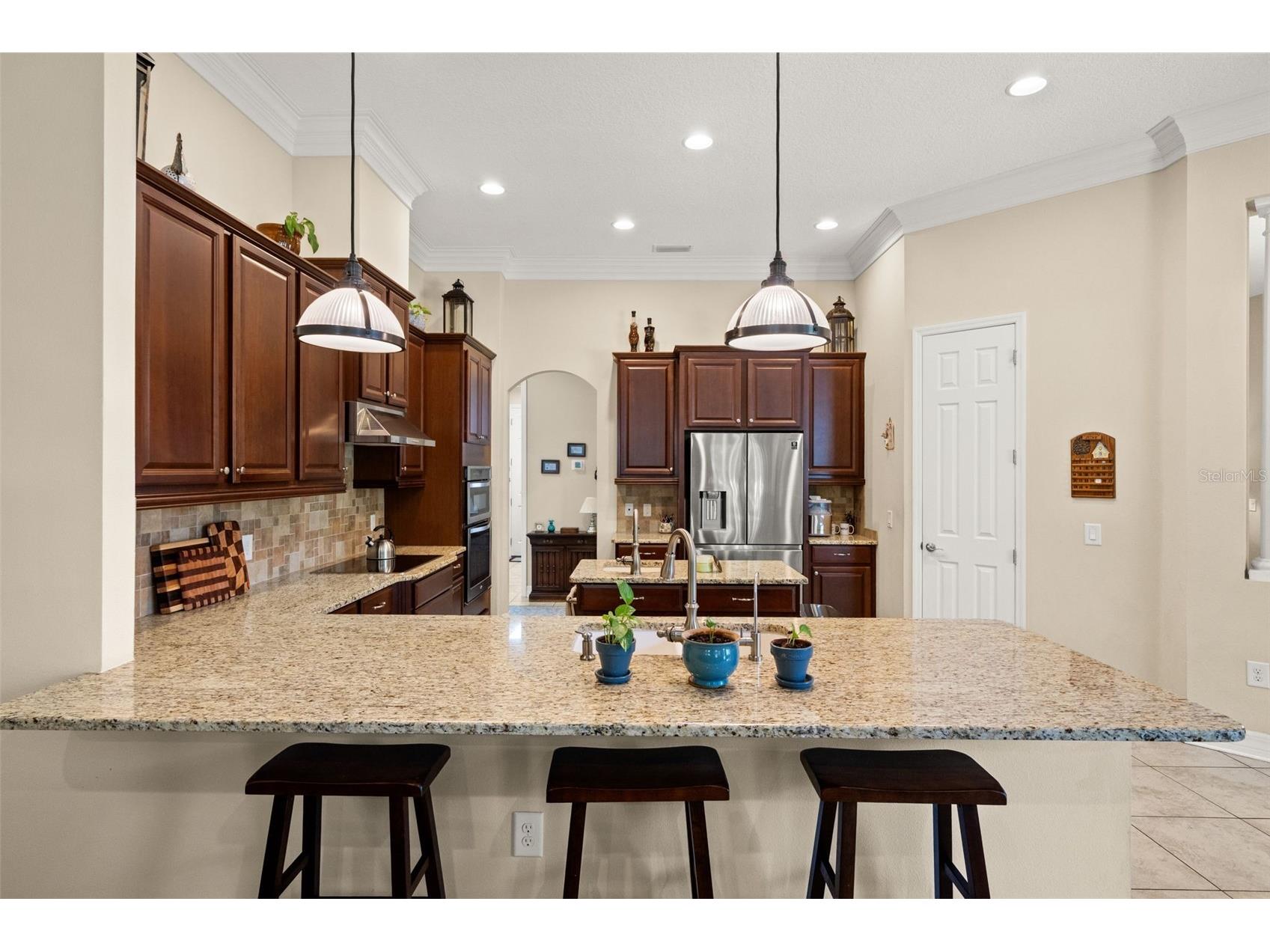 15103 Azra Drive Odessa FL 33556 TB8525415 image20