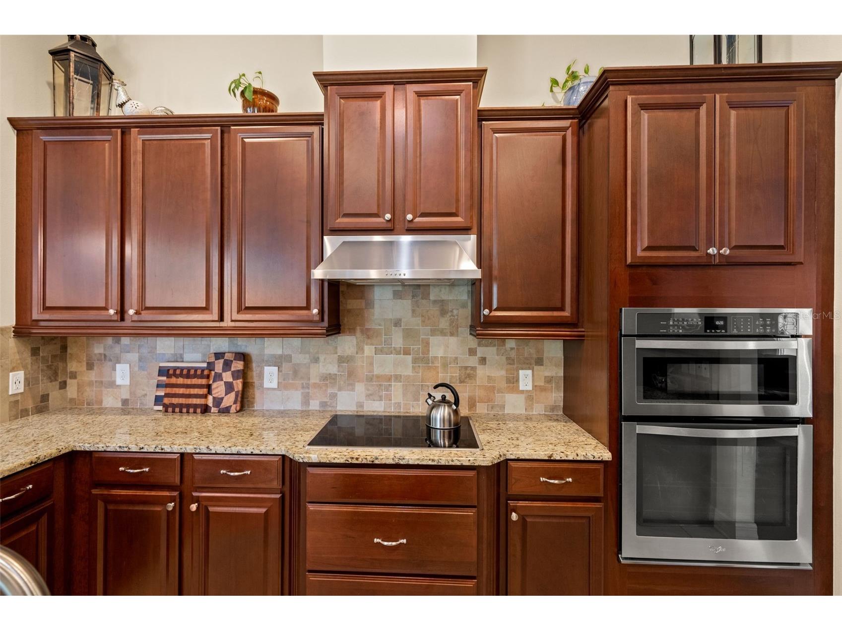 15103 Azra Drive Odessa FL 33556 TB8525415 image21