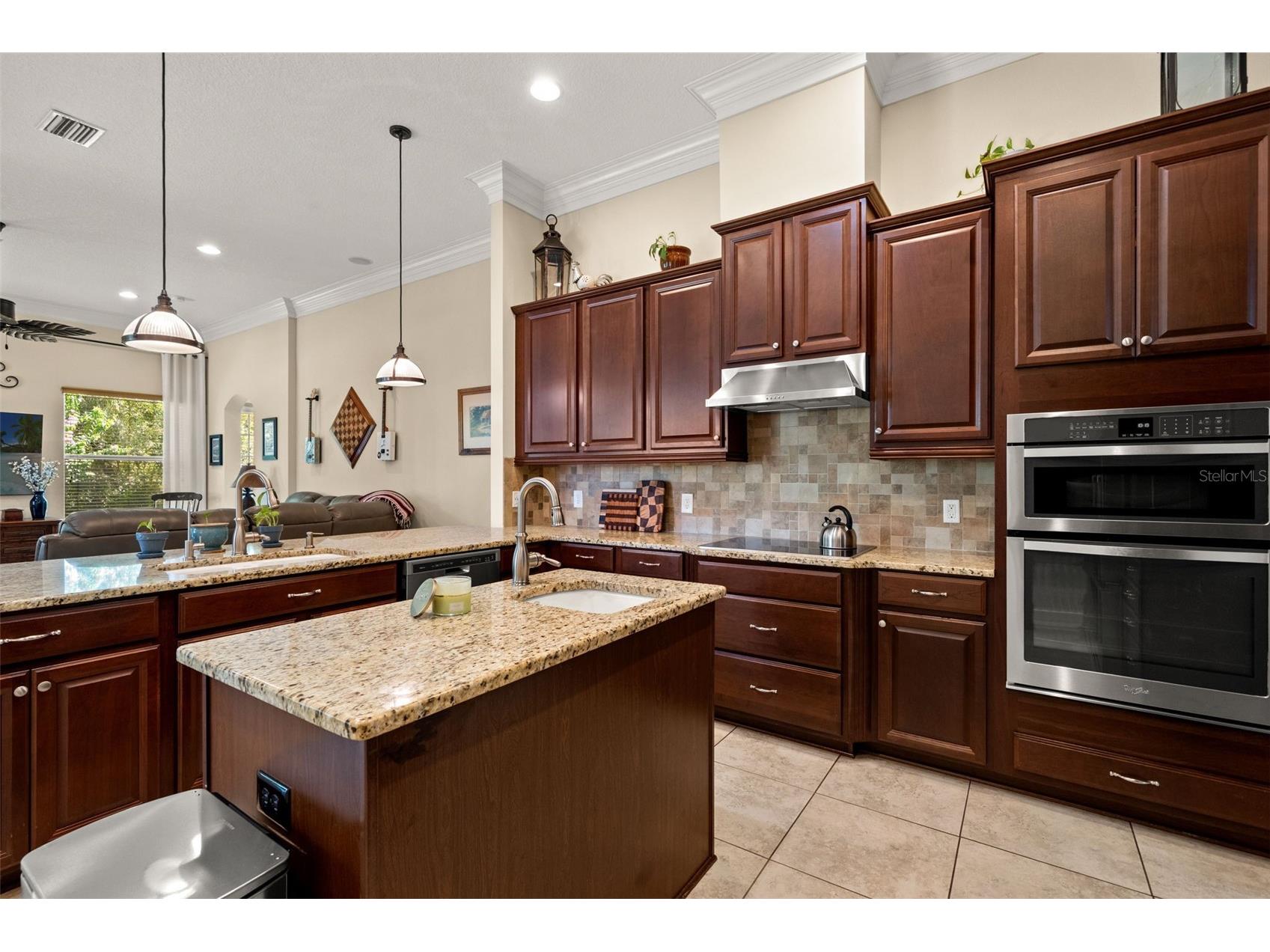 15103 Azra Drive Odessa FL 33556 TB8525415 image25
